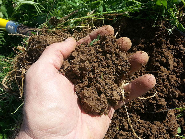 Spire Lawn Care Services Chesterfield Derbyshire Matlock Chastworth Garden Lawn Specialists HP JPG 006
